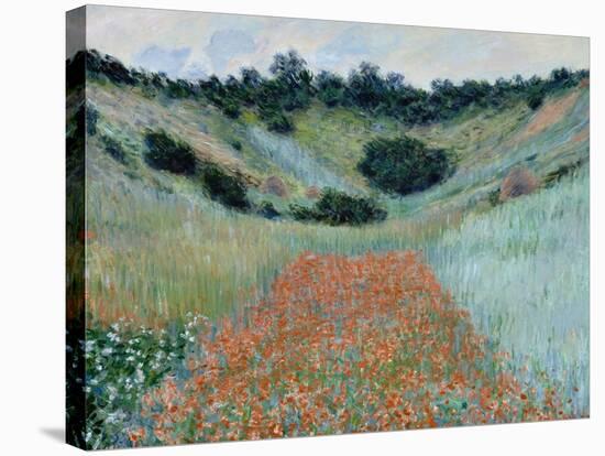 Poppy Field, 1885-Claude Monet-Stretched Canvas
