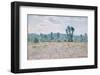 Poppy Field, 1890-Claude Monet-Framed Art Print