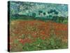 Poppy Field, 1890-Vincent van Gogh-Stretched Canvas