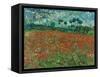 Poppy Field, 1890-Vincent van Gogh-Framed Stretched Canvas