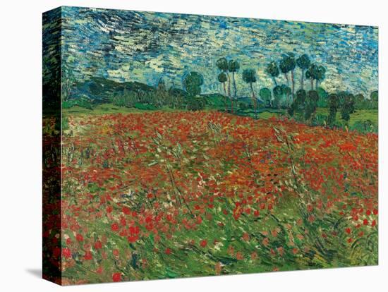 Poppy Field, 1890-Vincent van Gogh-Stretched Canvas