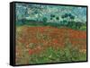 Poppy Field, 1890-Vincent van Gogh-Framed Stretched Canvas