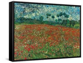 Poppy Field, 1890-Vincent van Gogh-Framed Stretched Canvas