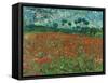 Poppy Field, 1890-Vincent van Gogh-Framed Stretched Canvas