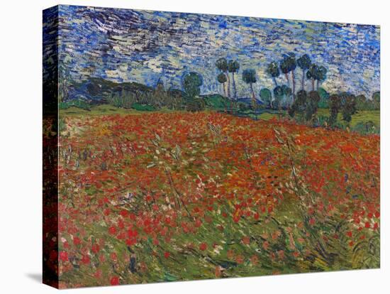 Poppy Field, 1890-Vincent van Gogh-Stretched Canvas