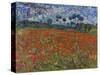 Poppy Field, 1890-Vincent van Gogh-Stretched Canvas