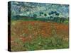 Poppy field. 1890-Vincent van Gogh-Stretched Canvas