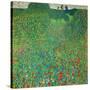 Poppy Field, 1907-Gustav Klimt-Stretched Canvas