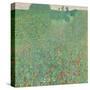 Poppy field, 1907-Gustav Klimt-Stretched Canvas
