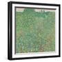 Poppy field, 1907-Gustav Klimt-Framed Giclee Print