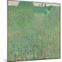 Poppy field, 1907-Gustav Klimt-Mounted Giclee Print