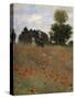 Poppy Field at Argenteuil, c.1873-Claude Monet-Stretched Canvas