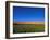 Poppy Field Between Daulitiar and Chakhcharan, Afghanistan, Asia-Jane Sweeney-Framed Photographic Print