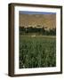 Poppy Field Between Daulitiar and Chakhcharan, Afghanistan-Jane Sweeney-Framed Photographic Print