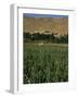 Poppy Field Between Daulitiar and Chakhcharan, Afghanistan-Jane Sweeney-Framed Photographic Print