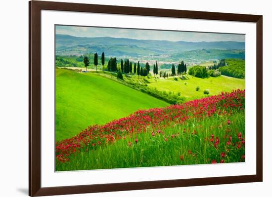 Poppy Field Certaldo Tuscany-null-Framed Art Print