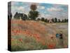 Poppy Field (Detail)-Claude Monet-Stretched Canvas