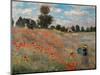 Poppy Field (Detail)-Claude Monet-Mounted Art Print