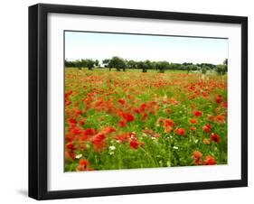 Poppy Field, Figueres, Girona, Catalonia, Spain, Europe-Mark Mawson-Framed Photographic Print