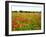 Poppy Field, Figueres, Girona, Catalonia, Spain, Europe-Mark Mawson-Framed Photographic Print