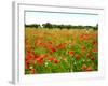 Poppy Field, Figueres, Girona, Catalonia, Spain, Europe-Mark Mawson-Framed Photographic Print