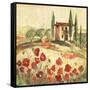 Poppy Field I-Gregory Gorham-Framed Stretched Canvas