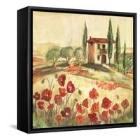 Poppy Field I-Gregory Gorham-Framed Stretched Canvas