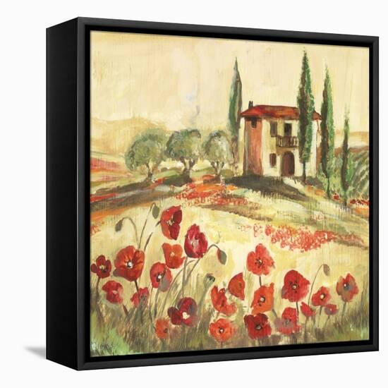 Poppy Field I-Gregory Gorham-Framed Stretched Canvas