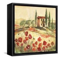 Poppy Field I-Gregory Gorham-Framed Stretched Canvas