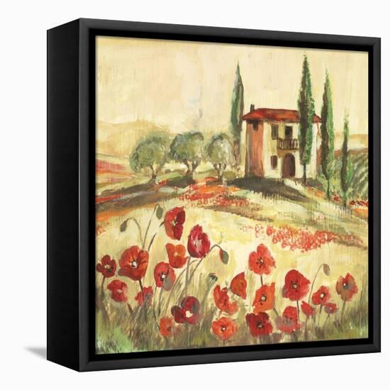 Poppy Field I-Gregory Gorham-Framed Stretched Canvas