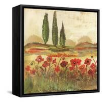 Poppy Field II-Gregory Gorham-Framed Stretched Canvas