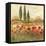 Poppy Field II-Gregory Gorham-Framed Stretched Canvas