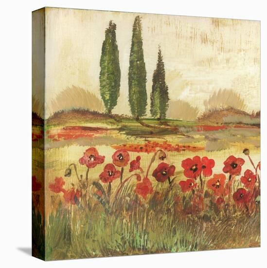 Poppy Field II-Gregory Gorham-Stretched Canvas