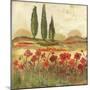 Poppy Field II-Gregory Gorham-Mounted Premium Giclee Print