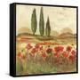 Poppy Field II-Gregory Gorham-Framed Stretched Canvas