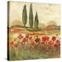 Poppy Field II-Gregory Gorham-Stretched Canvas