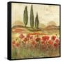 Poppy Field II-Gregory Gorham-Framed Stretched Canvas