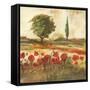 Poppy Field III-Gregory Gorham-Framed Stretched Canvas