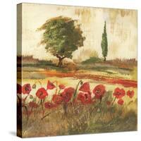 Poppy Field III-Gregory Gorham-Stretched Canvas