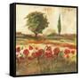 Poppy Field III-Gregory Gorham-Framed Stretched Canvas