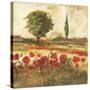 Poppy Field III-Gregory Gorham-Stretched Canvas