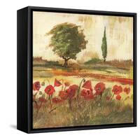 Poppy Field III-Gregory Gorham-Framed Stretched Canvas