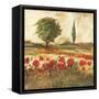 Poppy Field III-Gregory Gorham-Framed Stretched Canvas