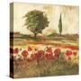 Poppy Field III-Gregory Gorham-Stretched Canvas