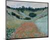 Poppy Field in a Hollow Near Giverny, 1885-Claude Monet-Mounted Giclee Print