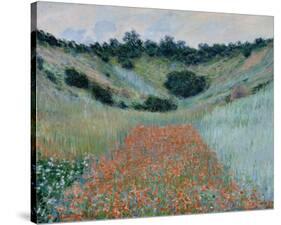 Poppy Field in a Hollow Near Giverny, 1885-Claude Monet-Stretched Canvas