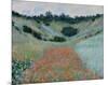 Poppy Field in a Hollow Near Giverny, 1885-Claude Monet-Mounted Art Print