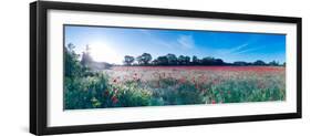 Poppy Field in Bloom, Ranworth, Norfolk, England-null-Framed Photographic Print