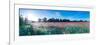 Poppy Field in Bloom, Ranworth, Norfolk, England-null-Framed Photographic Print