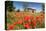 Poppy Field in front of a Country House on the Hills near Orvieto, Province of Terni, Umbria, Italy-null-Stretched Canvas